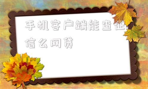 手机客户端能查征信么网贷2024年不查征信的网贷口子