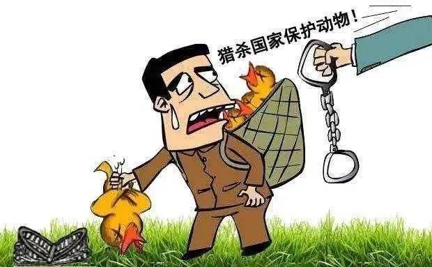 青少年普法网手机版动物教育部全国青少年普法网2