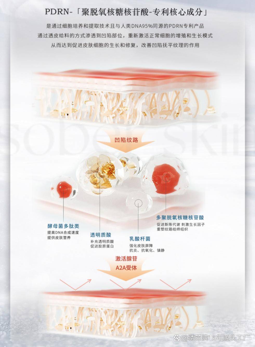 重生细胞手机版如何换皮肤手机版重生细胞国王皮肤怎么得