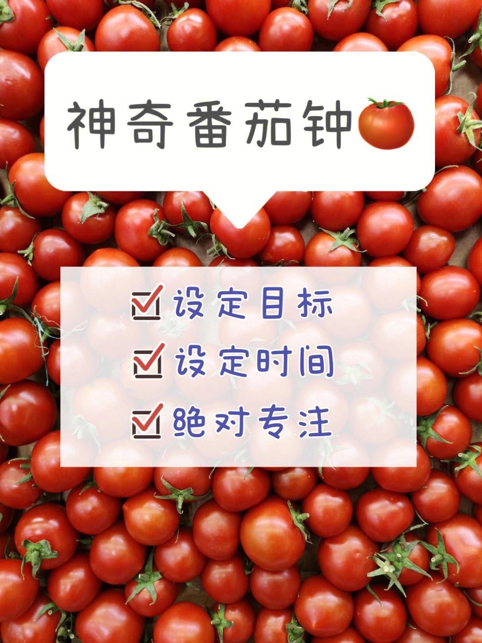 番茄时钟客户端apk车载导航时钟屏保apk